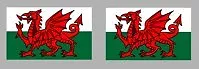 8 x WALES WELSH FLAG DECALS - VARIOUS SIZES