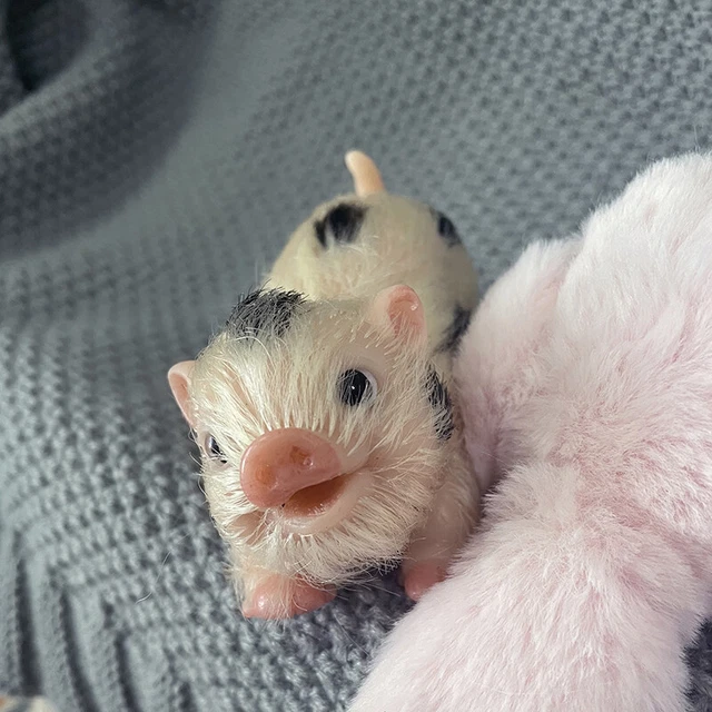 5" Reborn Dolls Cute Full Body Silicone Piglet Dolls Mini Pigs Doll Lifelike