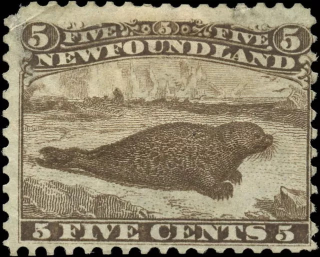 Canada Newfoundland Used F 5c Scott #25 1865-94 Harp Seal Stamp