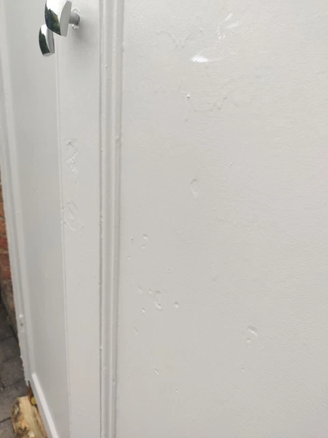 Reclaimed Pair of Victorian Cupboard Doors 5