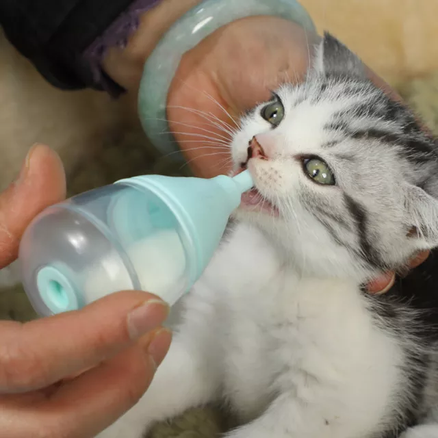 Botella de lactancia para mascotas resistente al calor de la leche con pezones gatito cachorro conejos de viaje