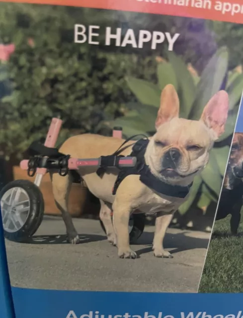 Pet Wheelchair for small dog, pink, used but very condition- less than 6 months