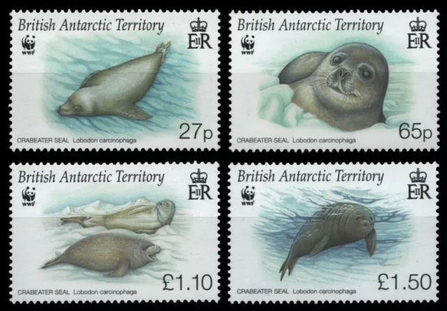 BAT / Brit. Antarktis 2009 - Mi-Nr. 505-508 ** - MNH - Robben / Seals