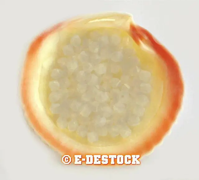 25 Perles Toupies 4mm cristal Swarovski - LIGHT GREY OPAL