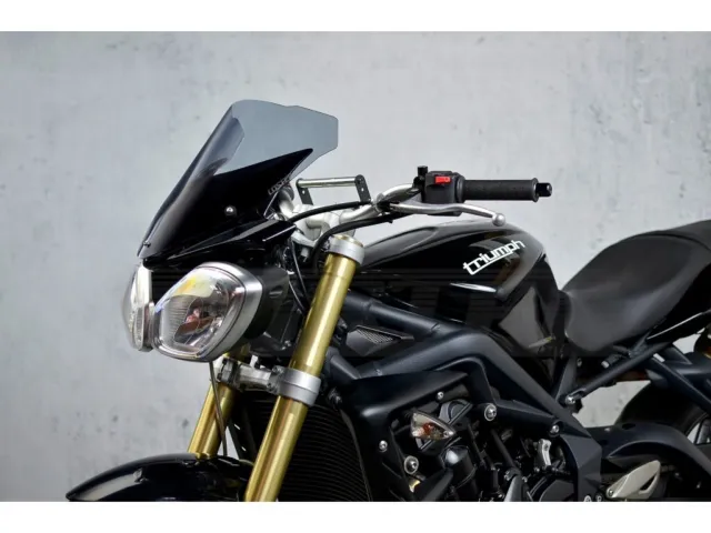 Windschild Windschutzscheibe für TRIUMPH STREET TRIPLE 675 NAKED 13-15 5 FARBE