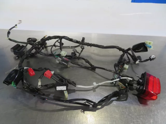 Eb1193 2022 22 Honda Grom Sp 125 Wire Harness