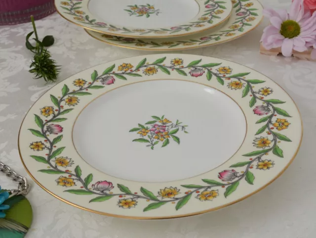 VTG Set of 3 Mintons 8 7/8" Hand Painted Floral Luncheon Plates