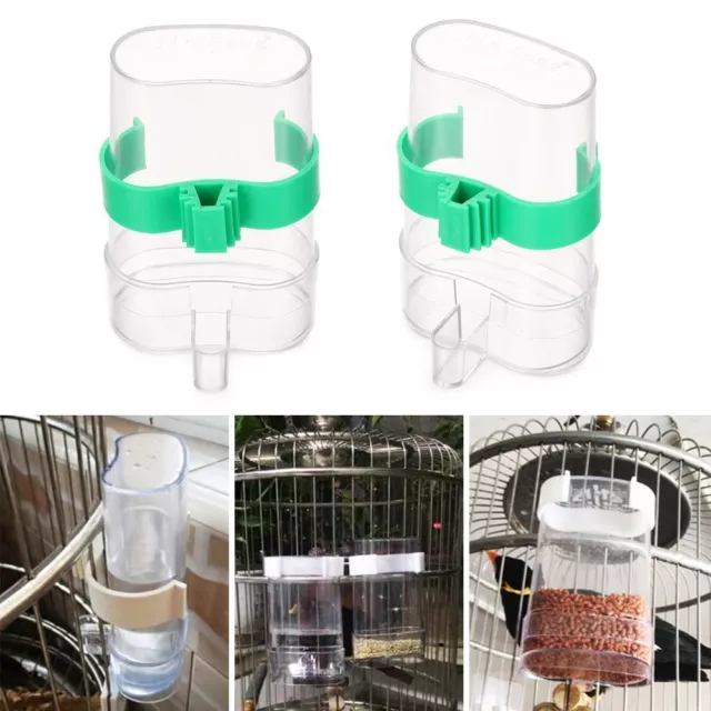 loro Jaula Crisantemo Alimentador de aves Perico Automático Dispensador de agua