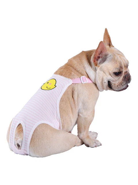 Läufigkeitshose für Hündinnen / Inkontinenzhose für Hunde / Hundeschutzhose de
