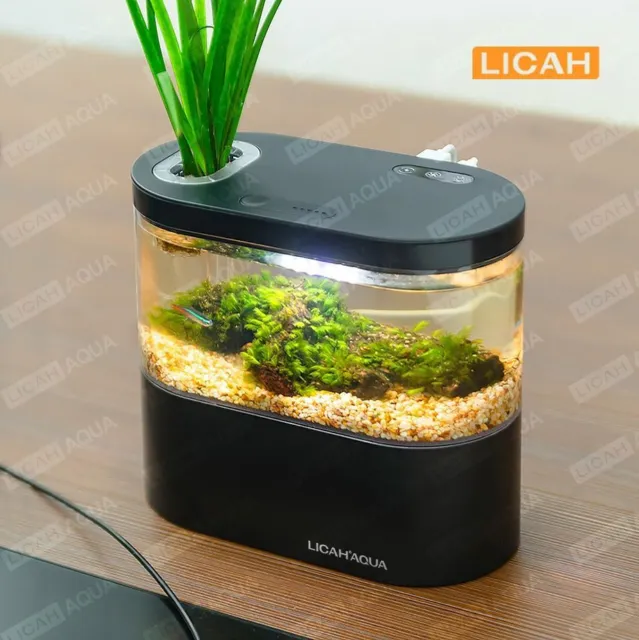 Usb Mini Desktop Aquarium Built-in Water Pump Led Light Filter  Desktop Aquarium