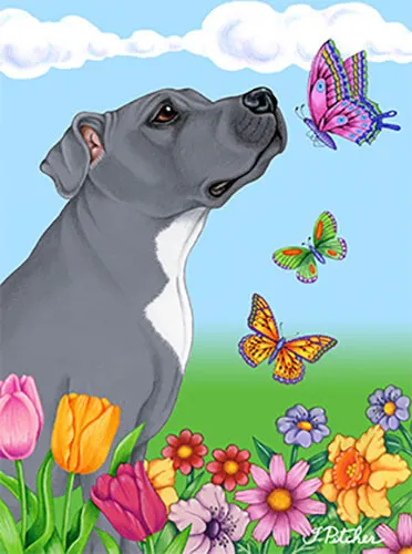 Butterfly Garden Flag - Blue Pit Bull Terrier 985001
