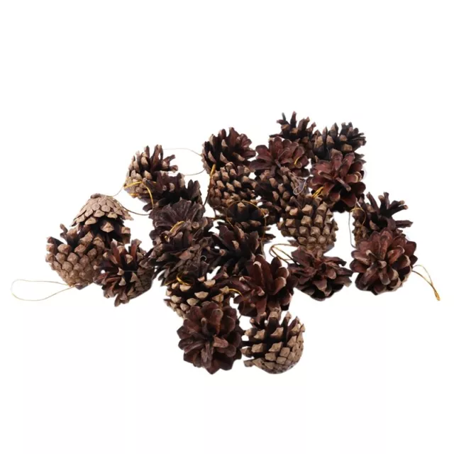 24 Pieces Pine Cones Ornament Natural PineCones With String Pendant Crafts4560