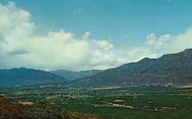 Aerial View of Ojai Valley, California, CA, Unused Chrome Vintage Postcard e7665