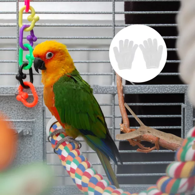 Anti-scratch Rabbies Gloves Birds Parrot Bite Resistant Pair Reusable Chew