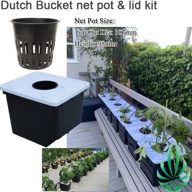 Buy 5 Gallon Square Hydroponic Bucket with Lid and 4 or 6 Net Pot
