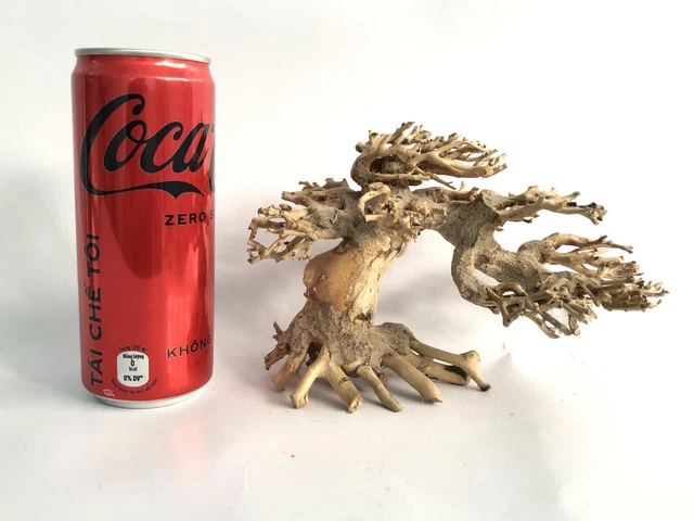 Bonsai driftwood moss tree for aquarium decor planted tank freshwater shrimp-S17