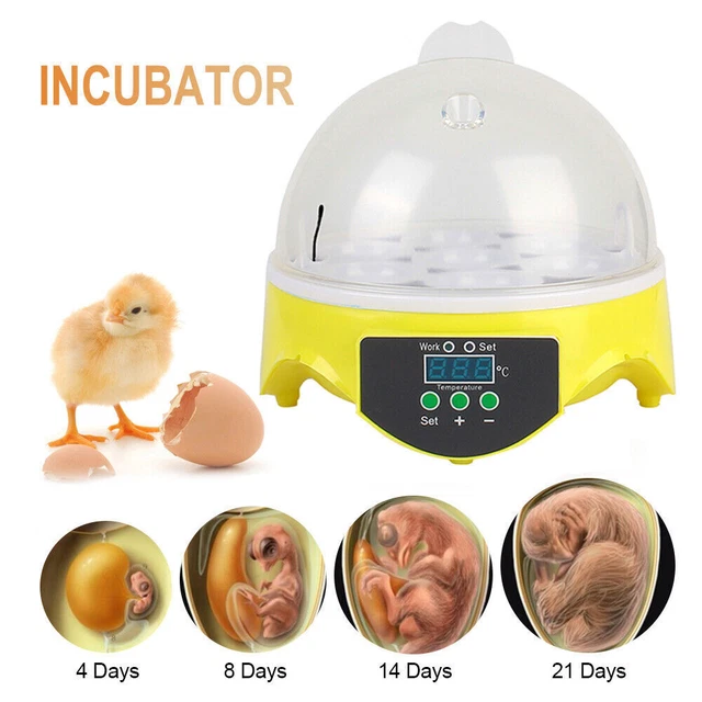 EGG INCUBATOR CHICK Hatcher Hatching Duck Quail Eggs With Temperature