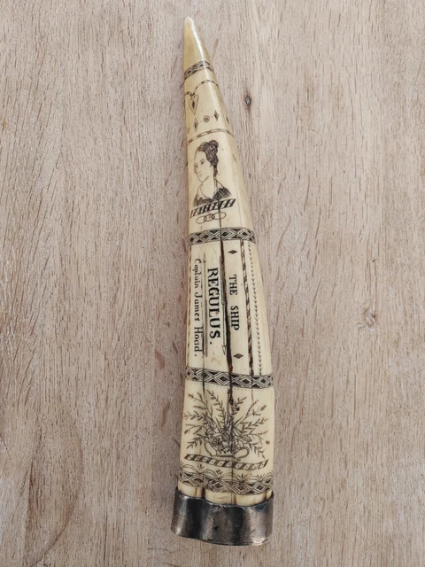 SCRIMSHAW TUSK 15 Inch The Ship Regulus, Captain James Hoad Resin ...
