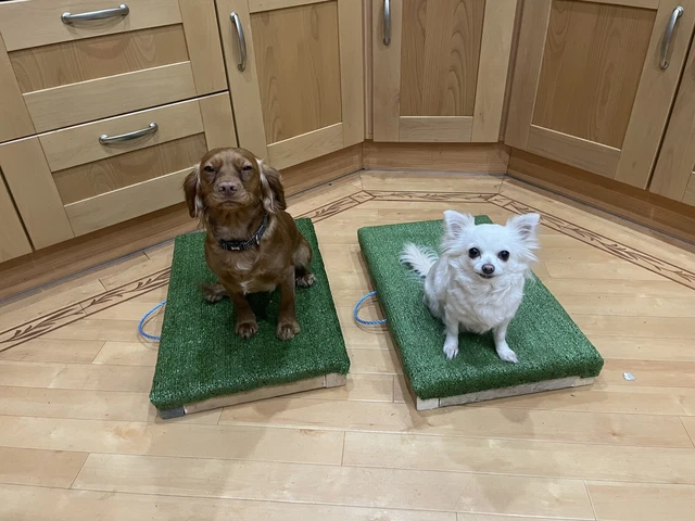 Pistola de trabajo perro soporte de entrenamiento alfombra control de límites también es adecuado para todos los perros