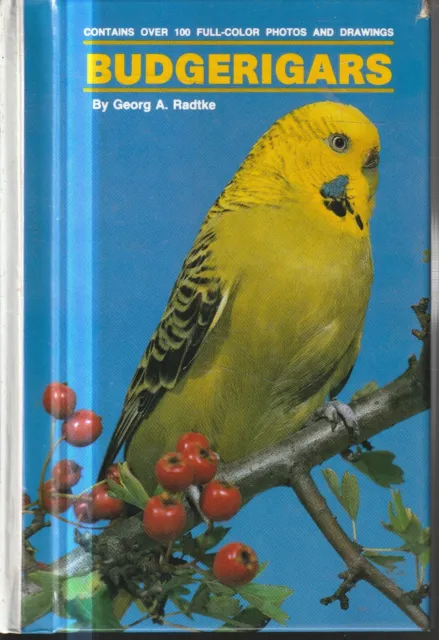 BIRDS , BUDGERIGARS by GEORG A RADTKE