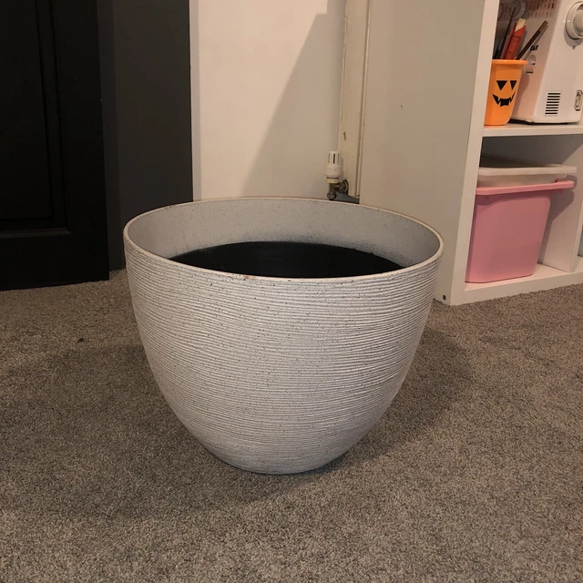 cosmetic plant 4D Anti-Falten Augen- und Lippenkonturcreme mit 4D-Hyaluronsäure und T –  PerspectiveSkin.Care