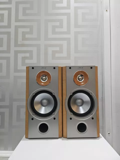 SONY SS-NX1 Magnetically Shielded Stereo 6ohm 120w Speakers.
