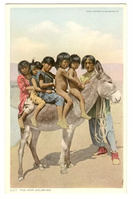Indian Postcard Hopi Unlimited Children on a Burro Donkey 1910