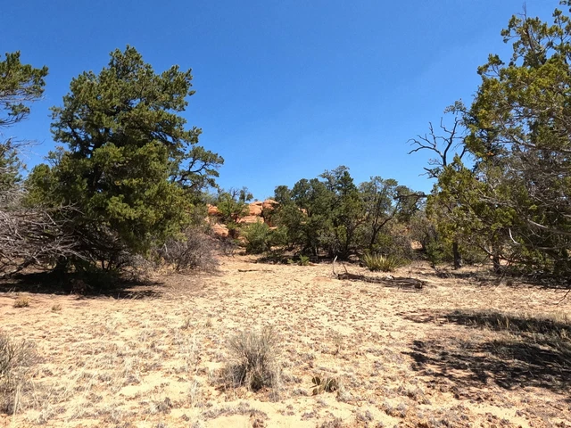 Candy Kitchen NM 1.86+ ac TREED & Views! CASH or TERMS!