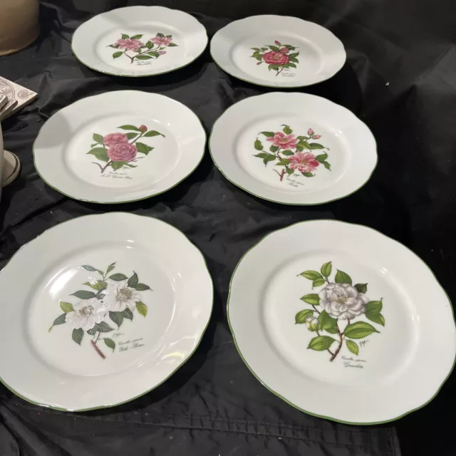 bareuther waldsassen bavaria germany plates set of 6 dessert floral