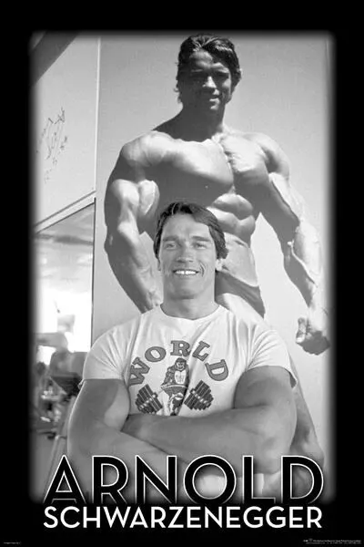 Arnold Schwarzenegger  PREMIUM LAMINATED POSTER FILM PRINT QUALITY