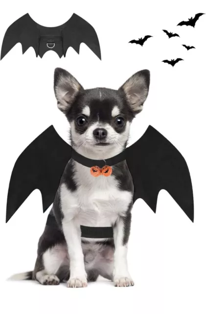 Dog Or Cat Halloween Bat Costume With Pumpkin Bells & Leash - Sz Medium - New