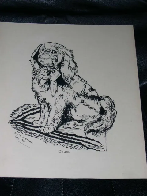 Large Antique King Charles Spaniel Dog Ink Drawing 1933 Artist Signed Named Dog
