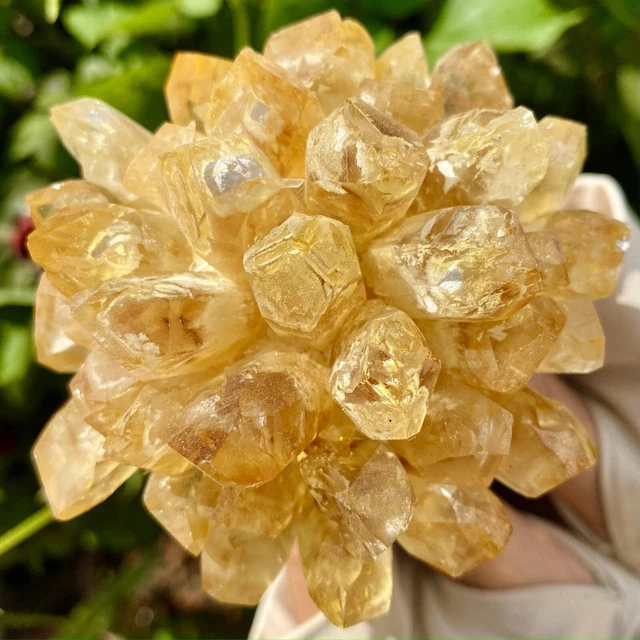 344G New Find Yellow Phantom Quartz Crystal Cluster Mineral Specimen Healing-A