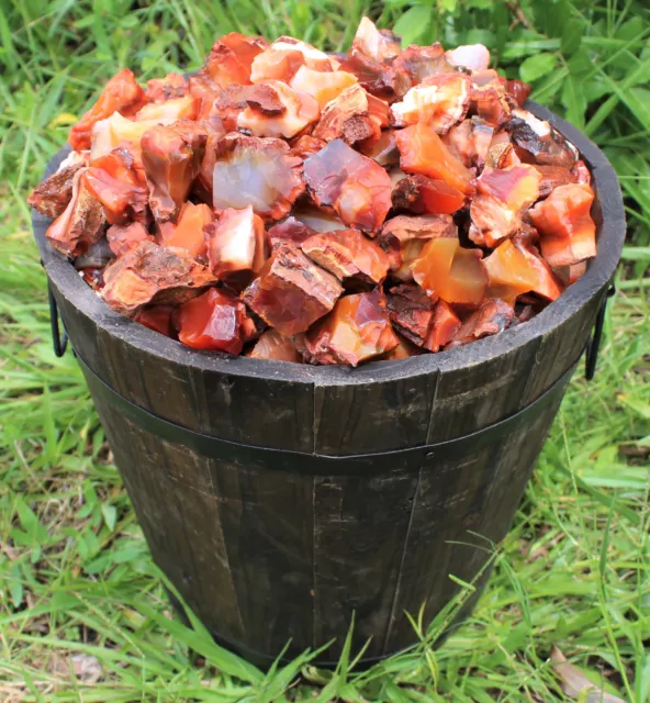 1/2 lb Bulk Lot Natural Rough Carnelian (Raw Stone Crystal, MADAGASCAR, 8 oz) 2