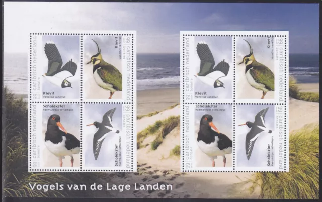 Caribbean Netherlands Issue 2018 (MS 15) Birds