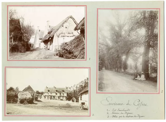 France, Cosne-Cours-sur-Loire, scarves, Pezeau farm and Allée du Château