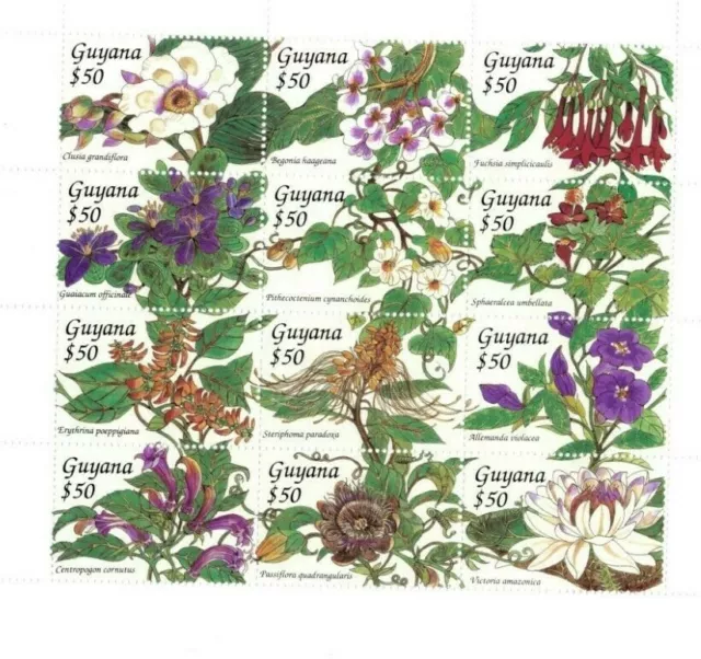 Guyana 1994 - Flowers - Sheet of 12 Stamps - Scott #2789 - MNH