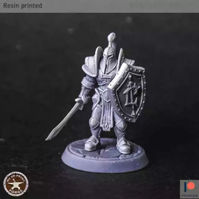 Lordaeron Guard Standing Miniatures Tabletop Dungeons and Dragons Wargaming Mini