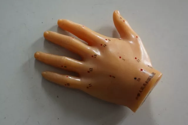 RS0521-057: Akupunktur Modell Hand Good Health Brand Japan mit Meridianen