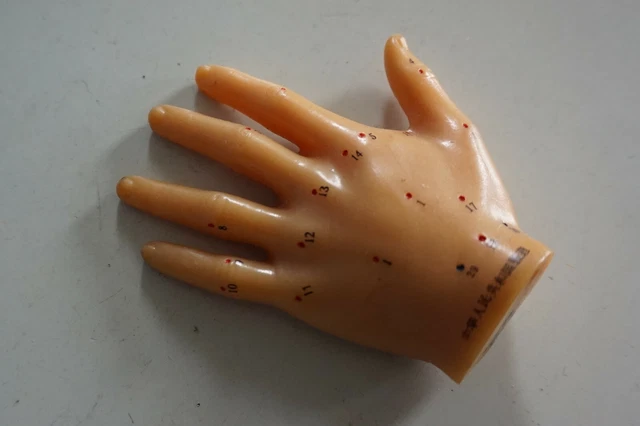 RS0521-057: Modelo de acupuntura Hand Good Health Brand Japón con meridianos RS0521-057: Modelo de acupuntura Hand Good Health Brand Japón con meridianos