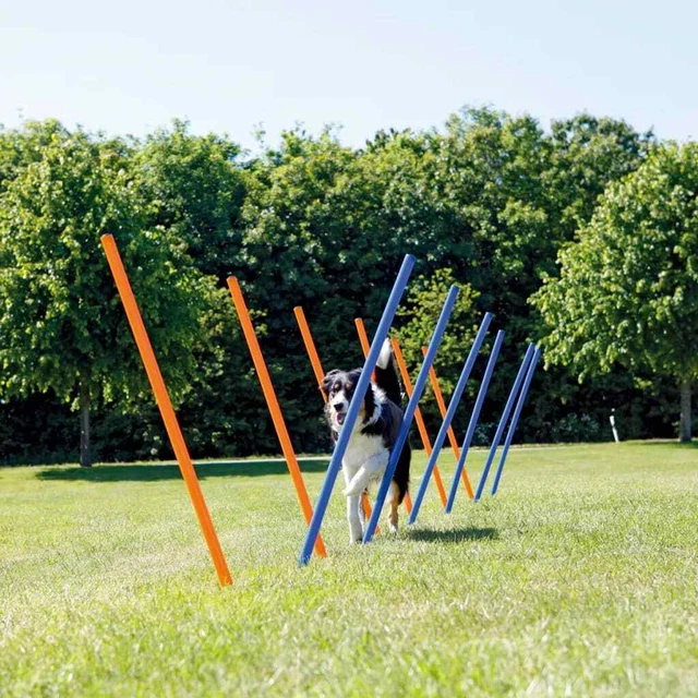 TRIXIE Agility Slalom in Plastica 12 pezzi 115cm Blu e Arancione 3206