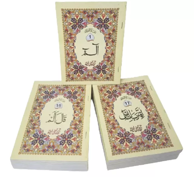 Mushaf Quran 30 Para (Sipara) Set Large Font 9 Lines (10-30C) PB -TC