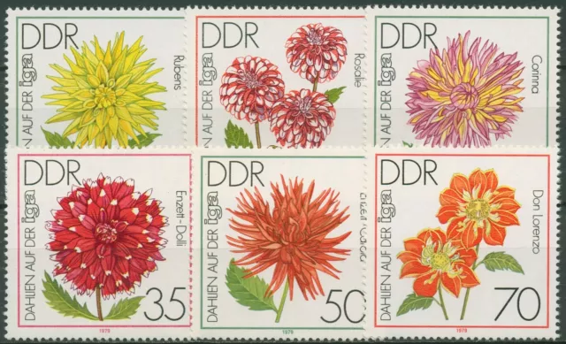 DDR 1979 IGA Erfurt Pflanzen Blumen Dahlien 2435/40 postfrisch