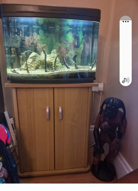 Fish tank full set up 64 Later With pump and stand With fish tank light     307