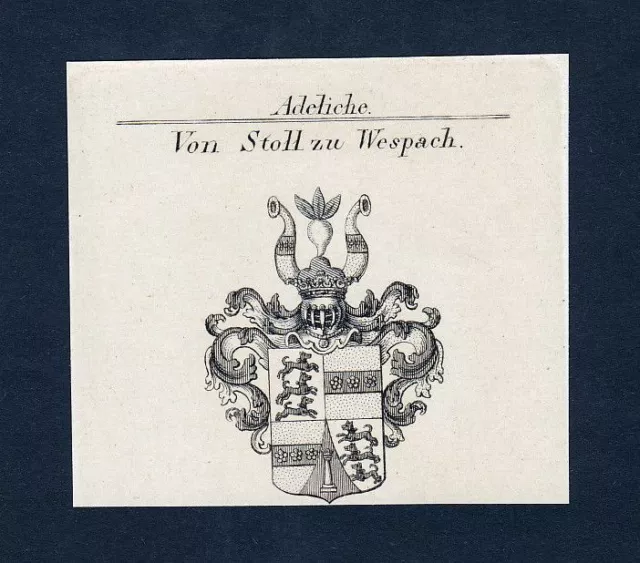 1820 Stolz Latsburg Wespach Stemma Nobile Cappotto Arms Incisione Engraving