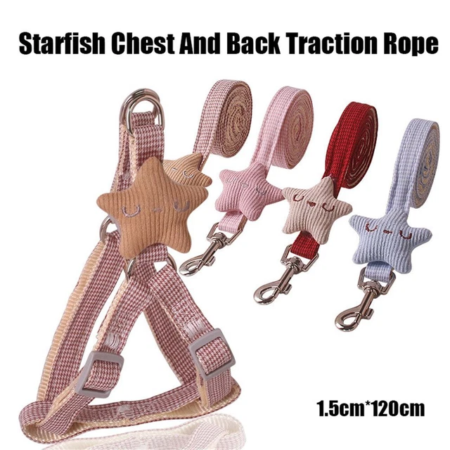 Collier de chaton Laisse pour animaux de compagnie Harnais de collier de chat