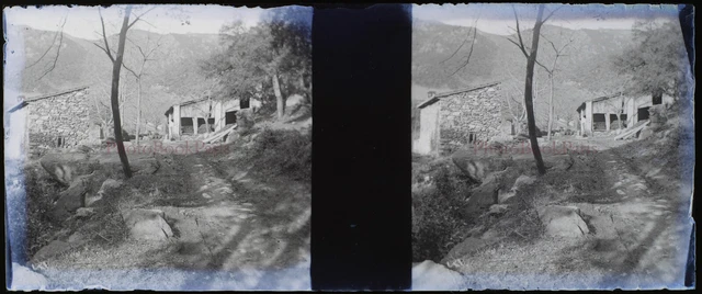 Ferme Campagne France c1900 Photo NEGATIVE Stereo Glass Plate VL12p9
