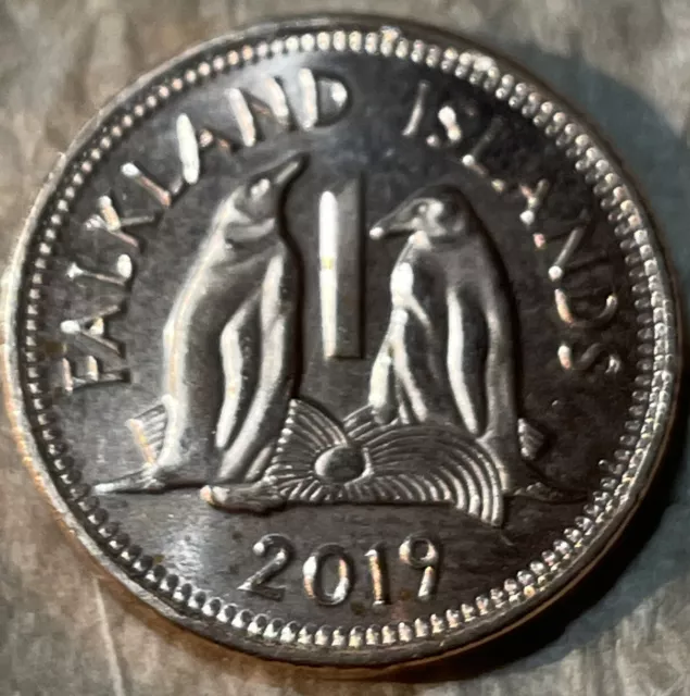 Falkland Islands 🇫🇰 Coin 1p Penny 2019 New UNC From Bag Gentoo Penguin Bird