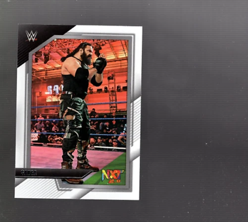 B2682- 2022 Panini WWE NXT Wrestling 1-125 +Inserts -You Pick- 10+ FREE US SHIP