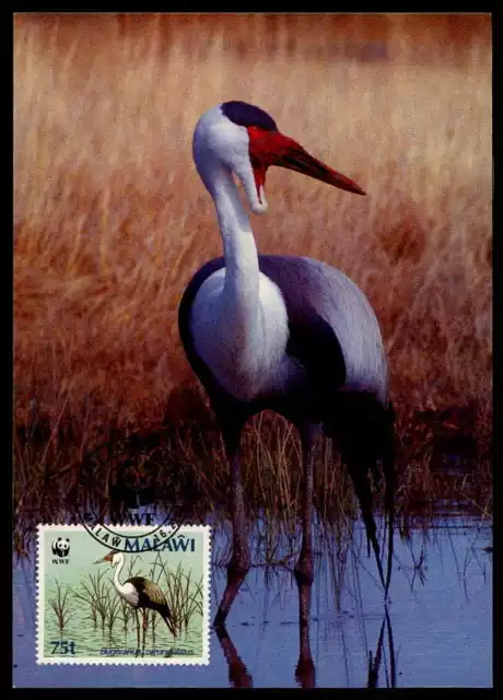 MALAWI MK VÖGEL KRANICH BIRDS CRANE GRUE MAXIMUMKARTE MAXIMUM CARD MC CM m887